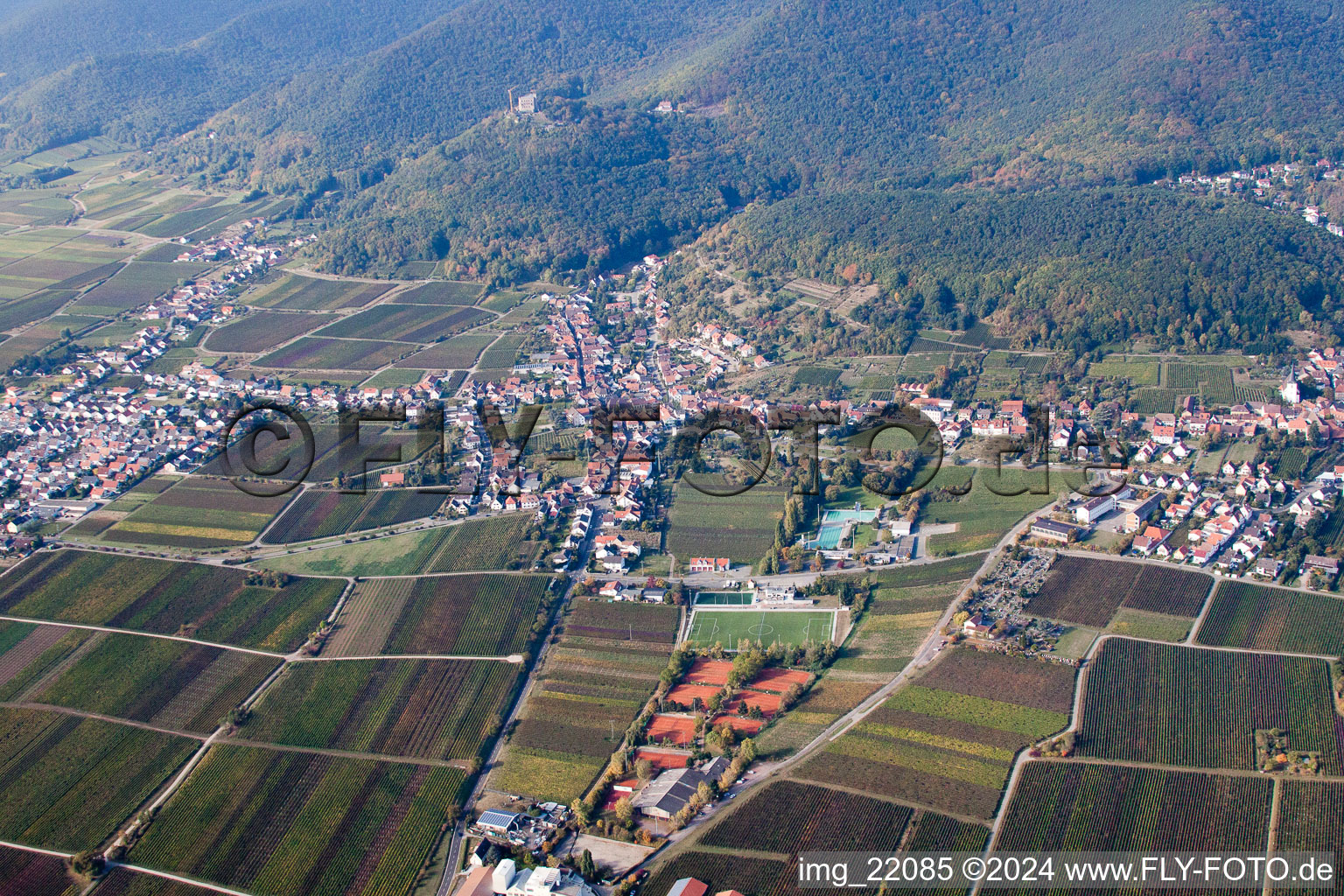 Vue aérienne de Paysage viticole des domaines viticoles du district de Hambach à le quartier Hambach an der Weinstraße in Neustadt an der Weinstraße dans le département Rhénanie-Palatinat, Allemagne