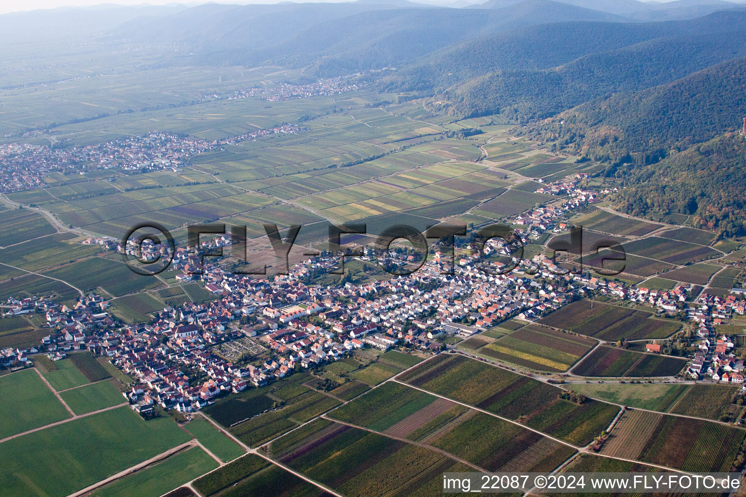 Vue aérienne de Champs agricoles et surfaces utilisables à le quartier Diedesfeld in Neustadt an der Weinstraße dans le département Rhénanie-Palatinat, Allemagne