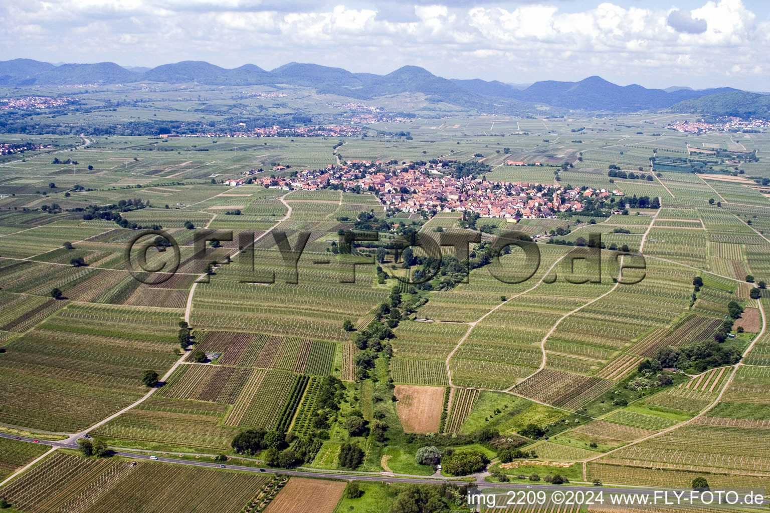 Vue aérienne de Paysage viticole des terroirs viticoles à le quartier Nußdorf in Landau in der Pfalz dans le département Rhénanie-Palatinat, Allemagne