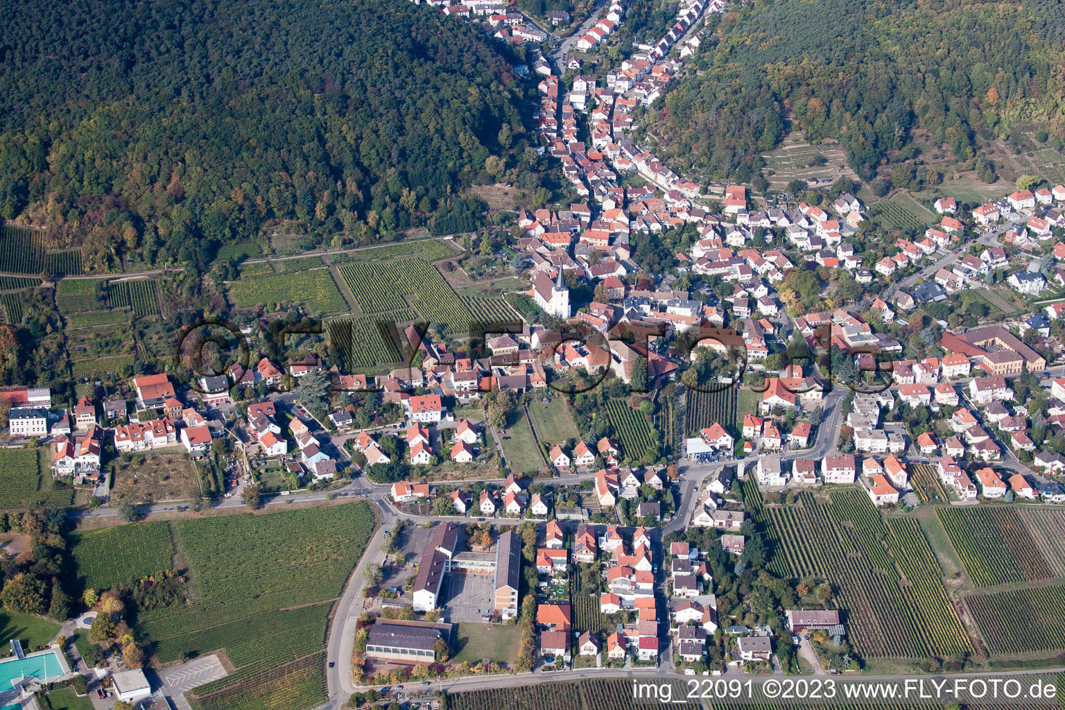 Photographie aérienne de Quartier Hambach an der Weinstraße in Neustadt an der Weinstraße dans le département Rhénanie-Palatinat, Allemagne