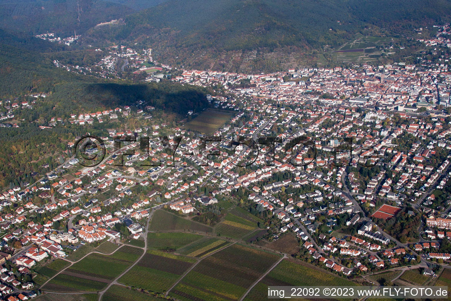 Vue oblique de Neustadt an der Weinstraße dans le département Rhénanie-Palatinat, Allemagne