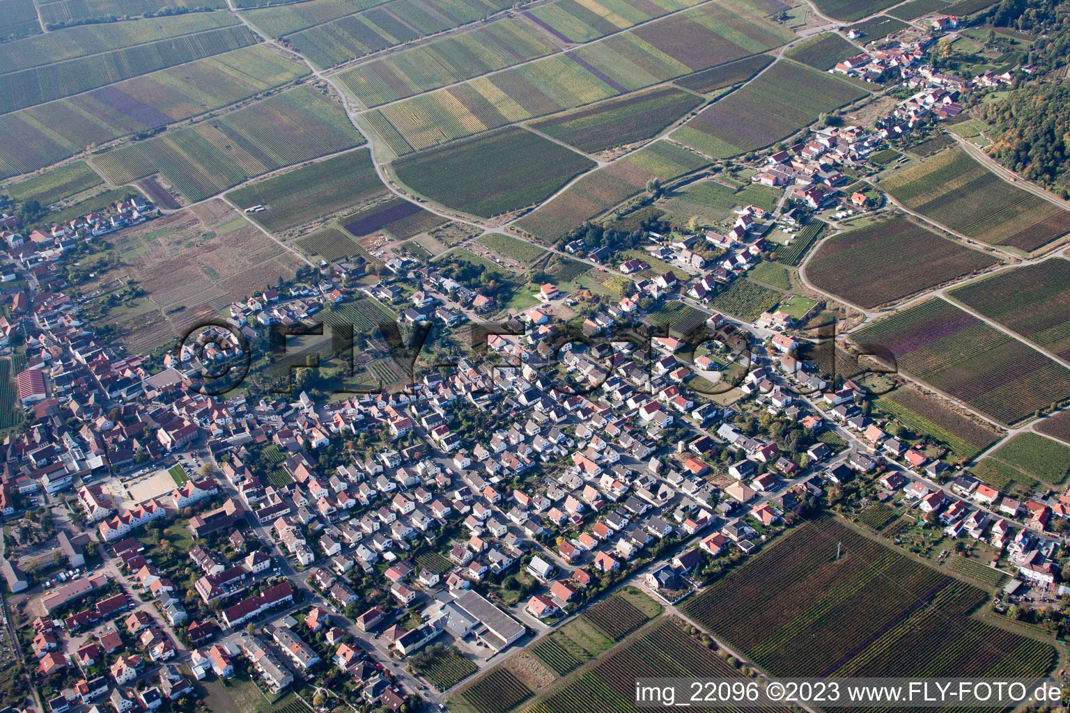 Quartier Diedesfeld in Neustadt an der Weinstraße dans le département Rhénanie-Palatinat, Allemagne vu d'un drone