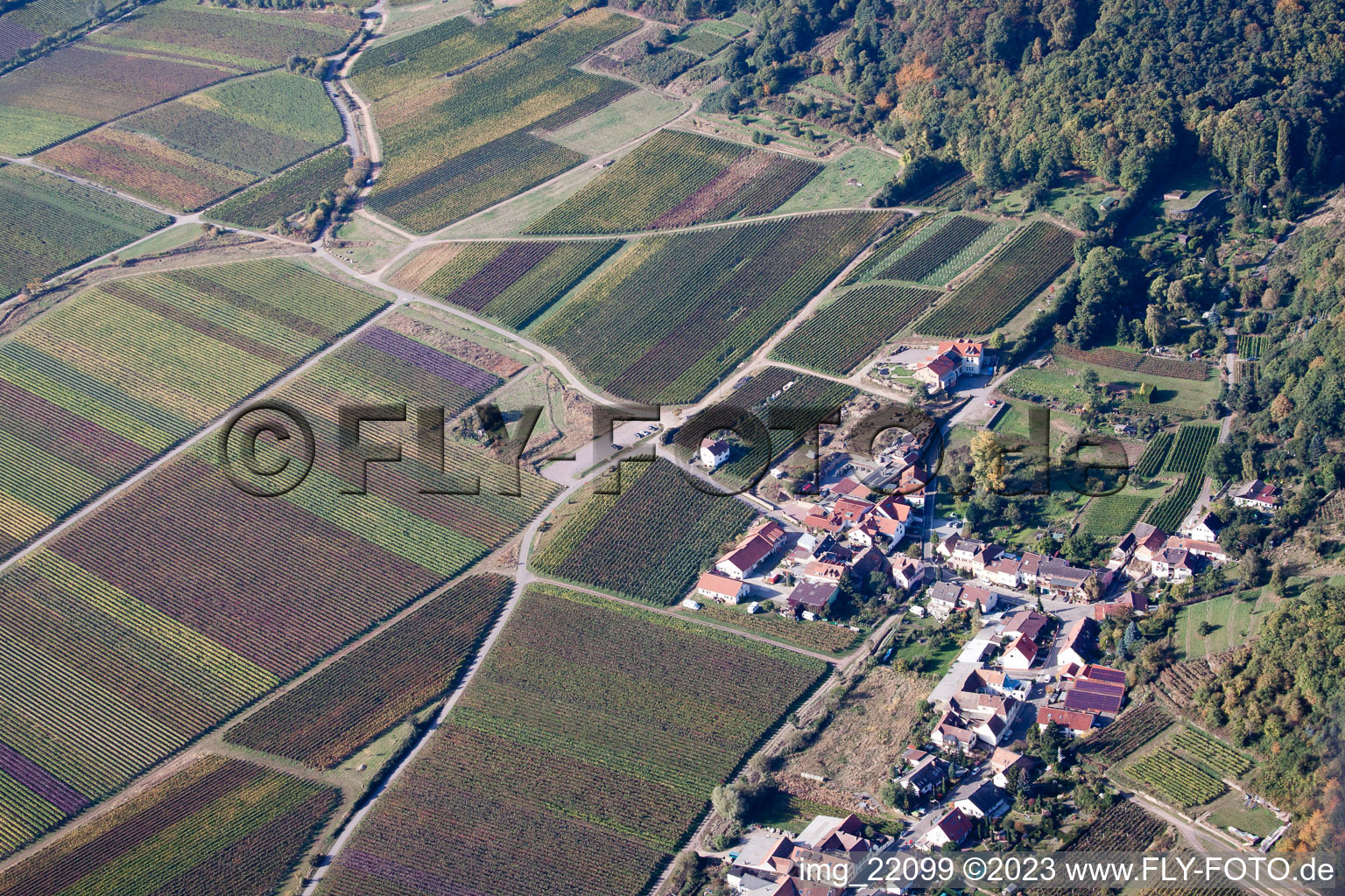 Vue aérienne de Quartier Diedesfeld in Neustadt an der Weinstraße dans le département Rhénanie-Palatinat, Allemagne