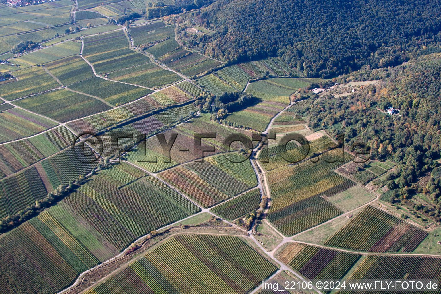 Vue aérienne de Paysage viticole des domaines viticoles du district de Hambach à le quartier Diedesfeld in Neustadt an der Weinstraße dans le département Rhénanie-Palatinat, Allemagne