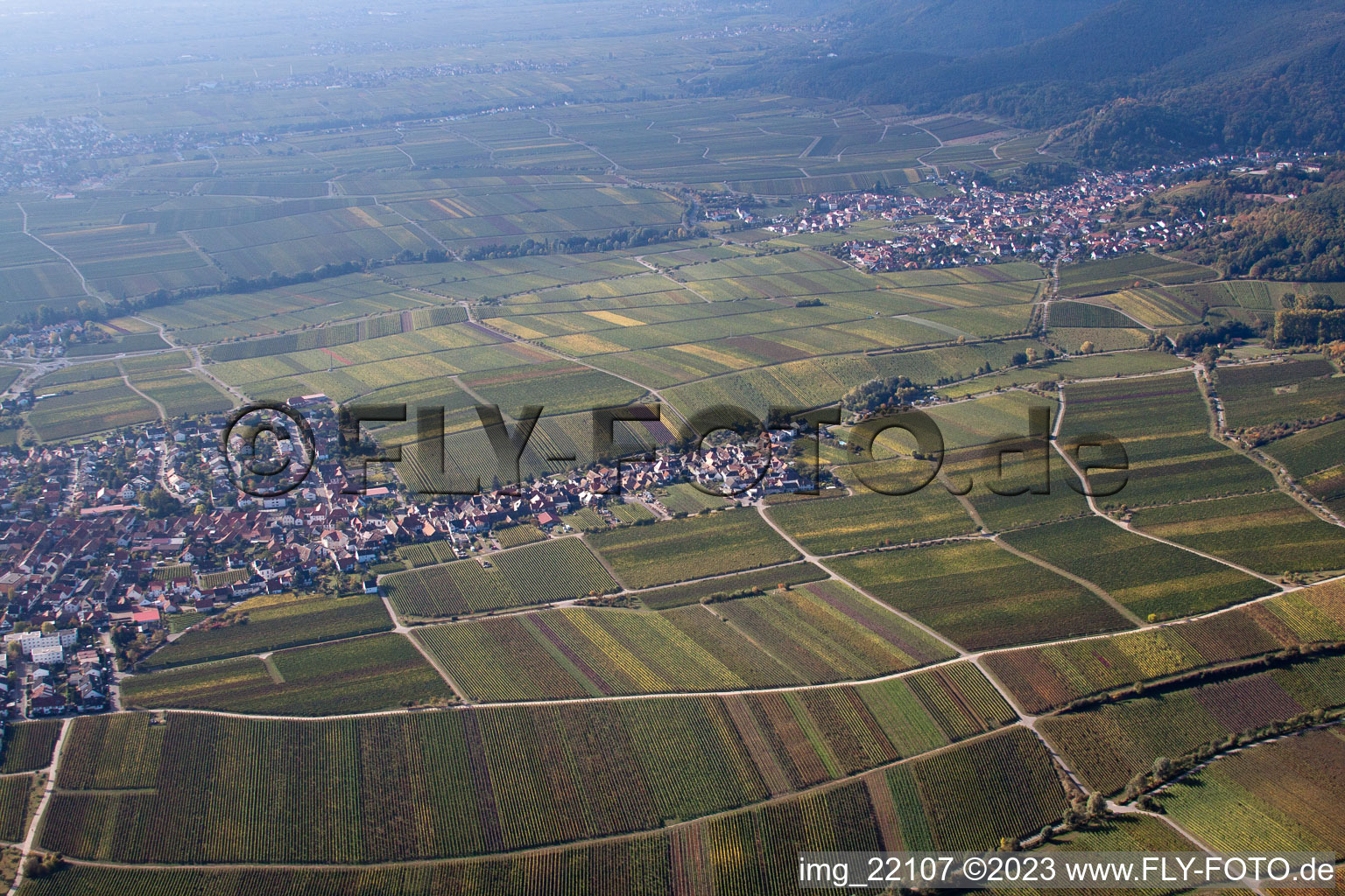 Vue oblique de Quartier Diedesfeld in Neustadt an der Weinstraße dans le département Rhénanie-Palatinat, Allemagne