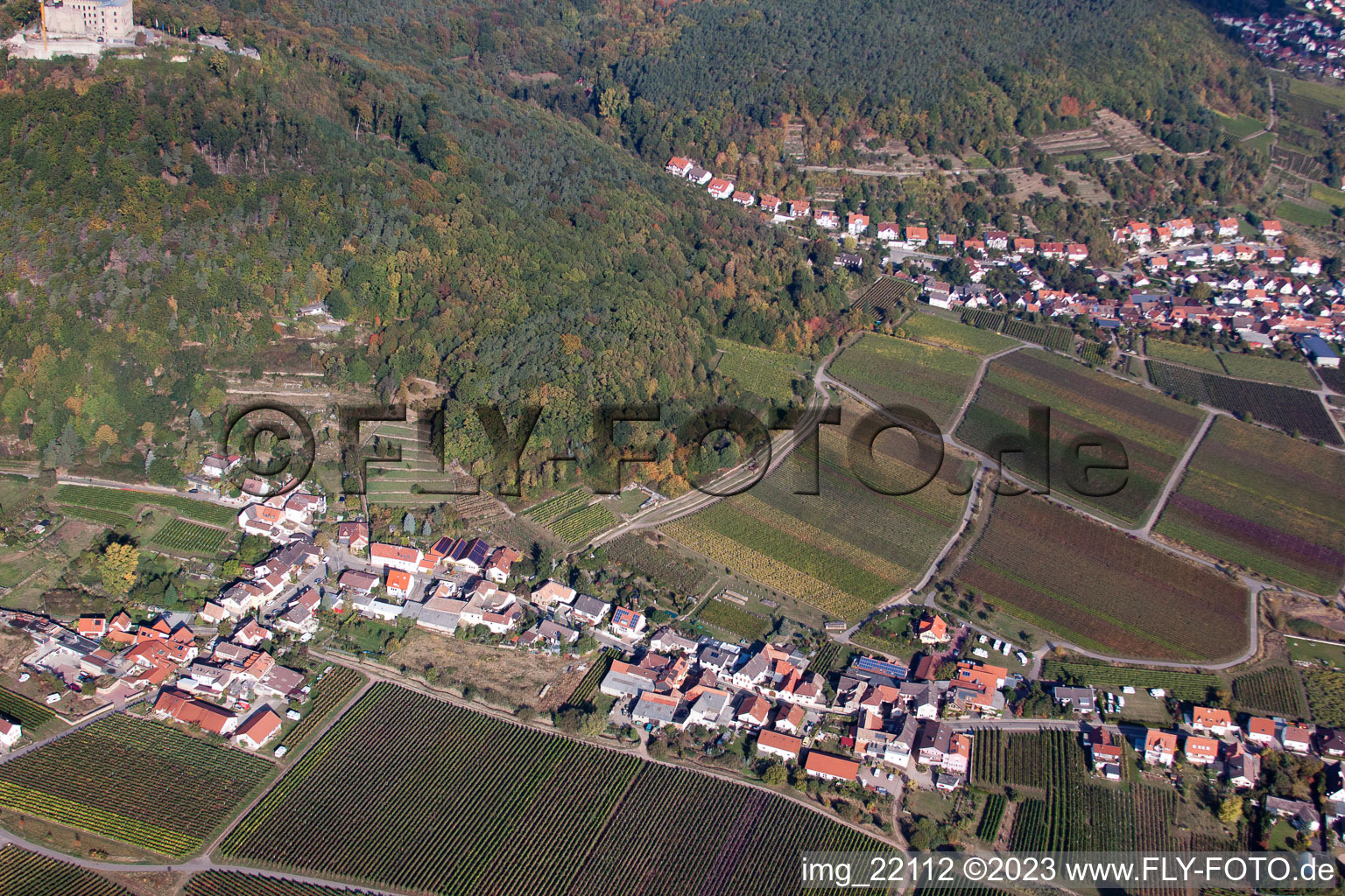 Vue d'oiseau de Quartier Diedesfeld in Neustadt an der Weinstraße dans le département Rhénanie-Palatinat, Allemagne