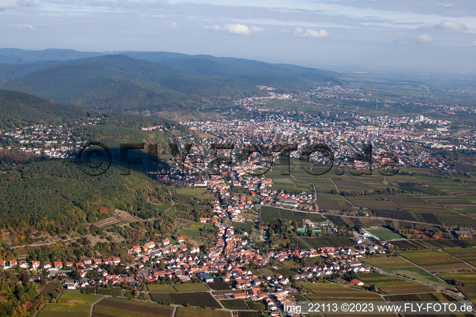 Quartier Diedesfeld in Neustadt an der Weinstraße dans le département Rhénanie-Palatinat, Allemagne vue du ciel