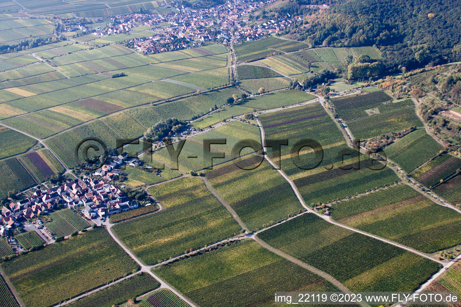 Image drone de Quartier Diedesfeld in Neustadt an der Weinstraße dans le département Rhénanie-Palatinat, Allemagne