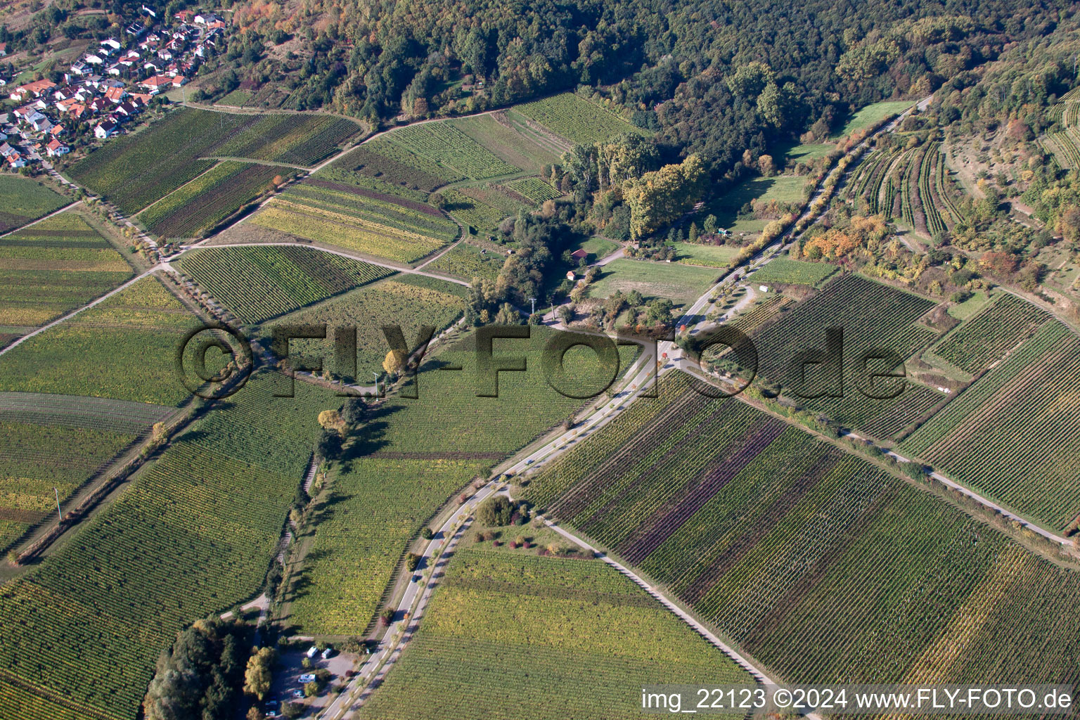 Maikammer dans le département Rhénanie-Palatinat, Allemagne depuis l'avion