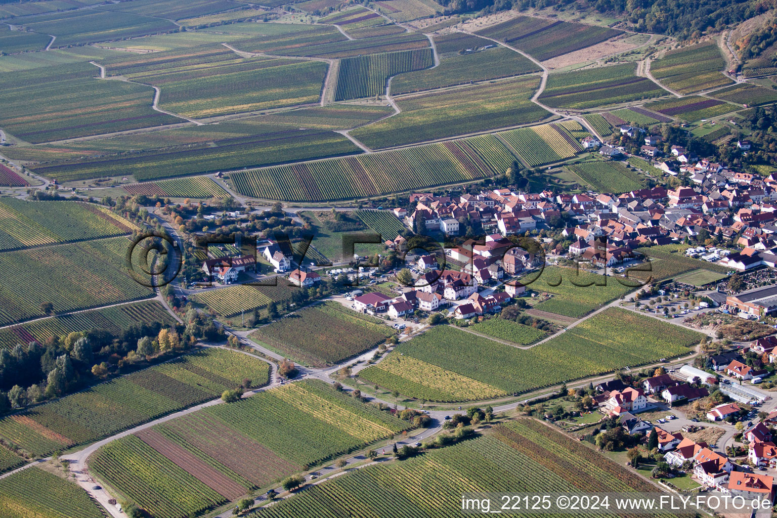 Saint-Martin à Sankt Martin dans le département Rhénanie-Palatinat, Allemagne hors des airs