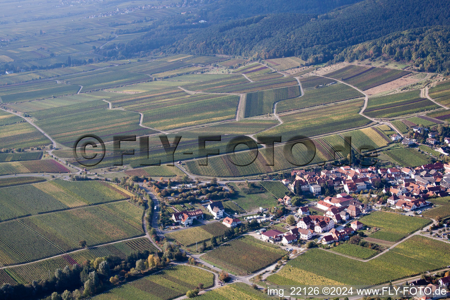 Saint-Martin à Sankt Martin dans le département Rhénanie-Palatinat, Allemagne vue d'en haut