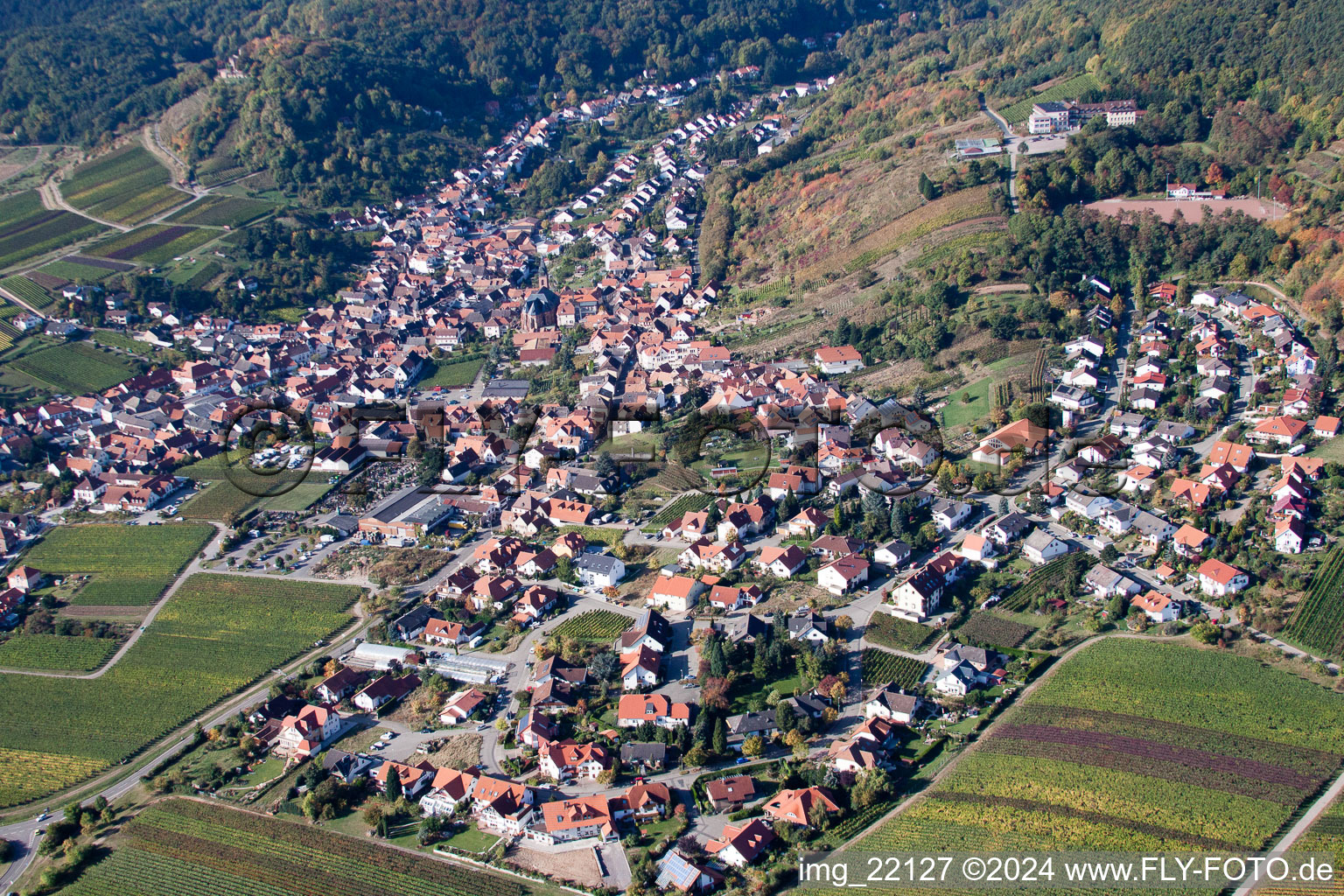 Saint-Martin à Sankt Martin dans le département Rhénanie-Palatinat, Allemagne depuis l'avion