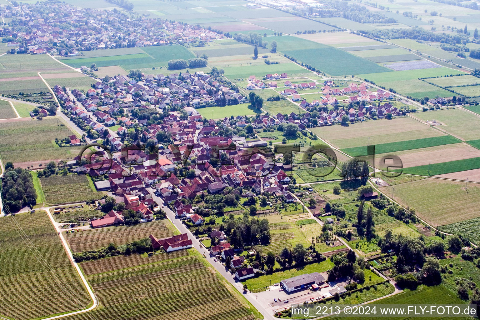 Vue aérienne de Vue sur le village à le quartier Dammheim in Landau in der Pfalz dans le département Rhénanie-Palatinat, Allemagne