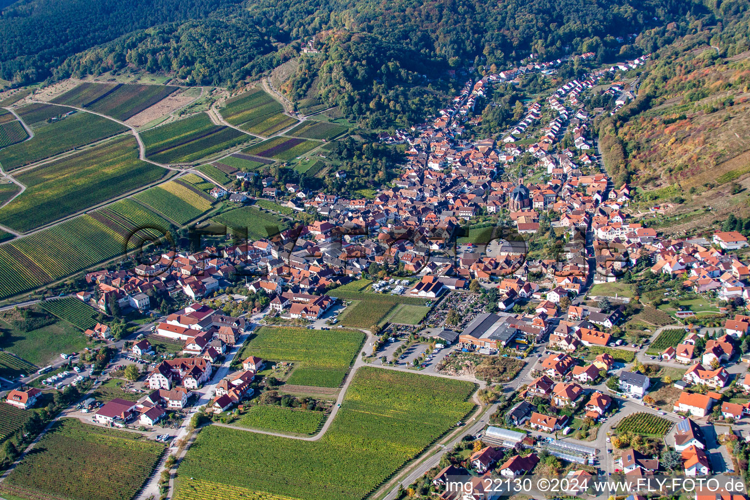 Image drone de Maikammer dans le département Rhénanie-Palatinat, Allemagne