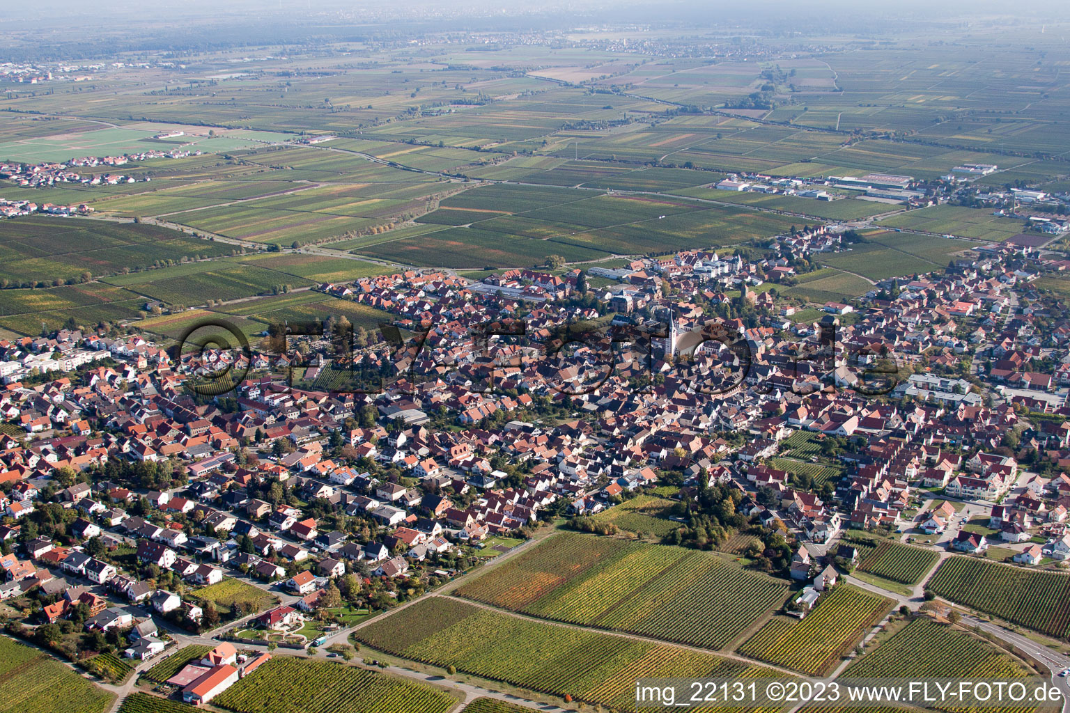 Maikammer dans le département Rhénanie-Palatinat, Allemagne du point de vue du drone