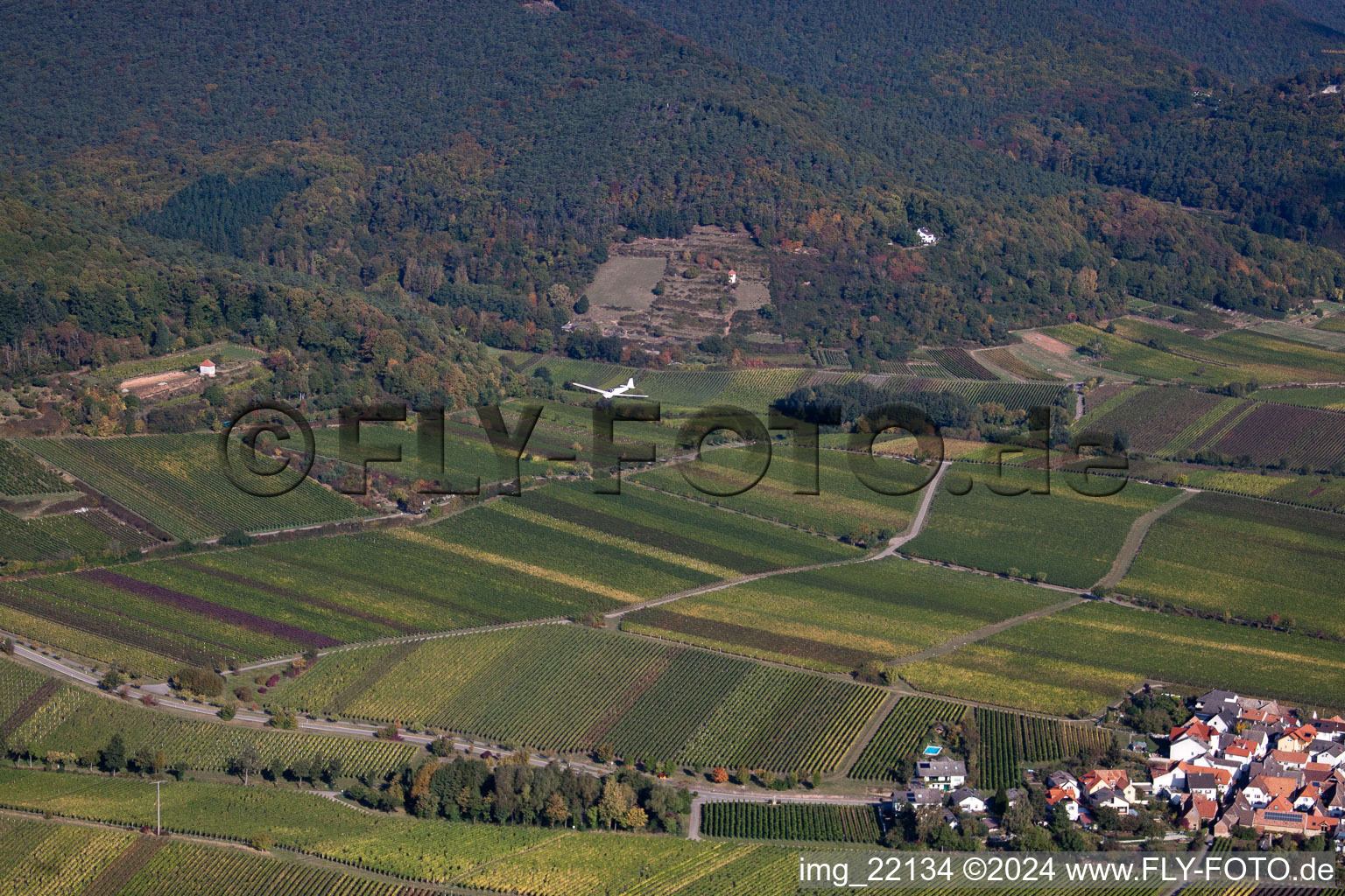 Enregistrement par drone de Sankt Martin dans le département Rhénanie-Palatinat, Allemagne