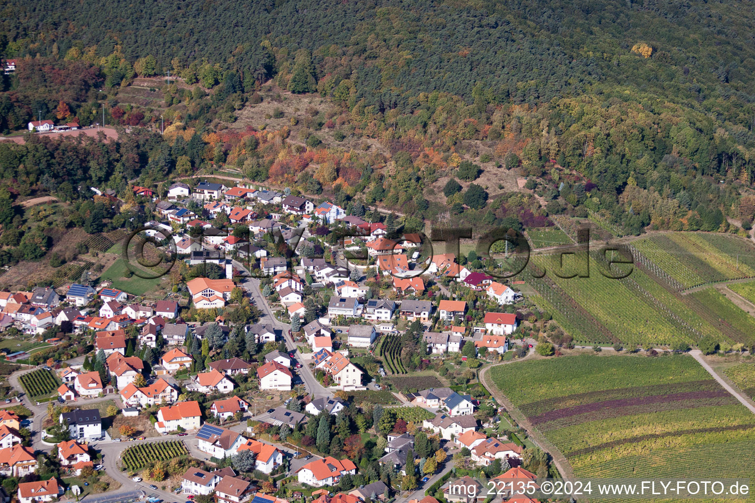 Image drone de Sankt Martin dans le département Rhénanie-Palatinat, Allemagne