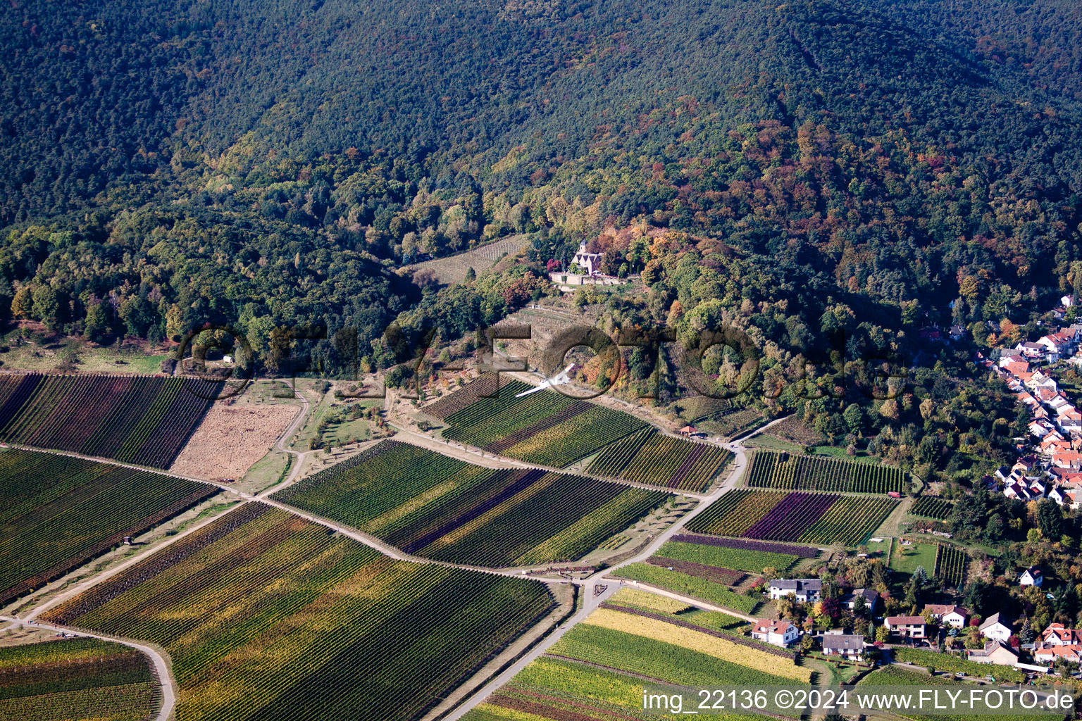 Sankt Martin dans le département Rhénanie-Palatinat, Allemagne du point de vue du drone