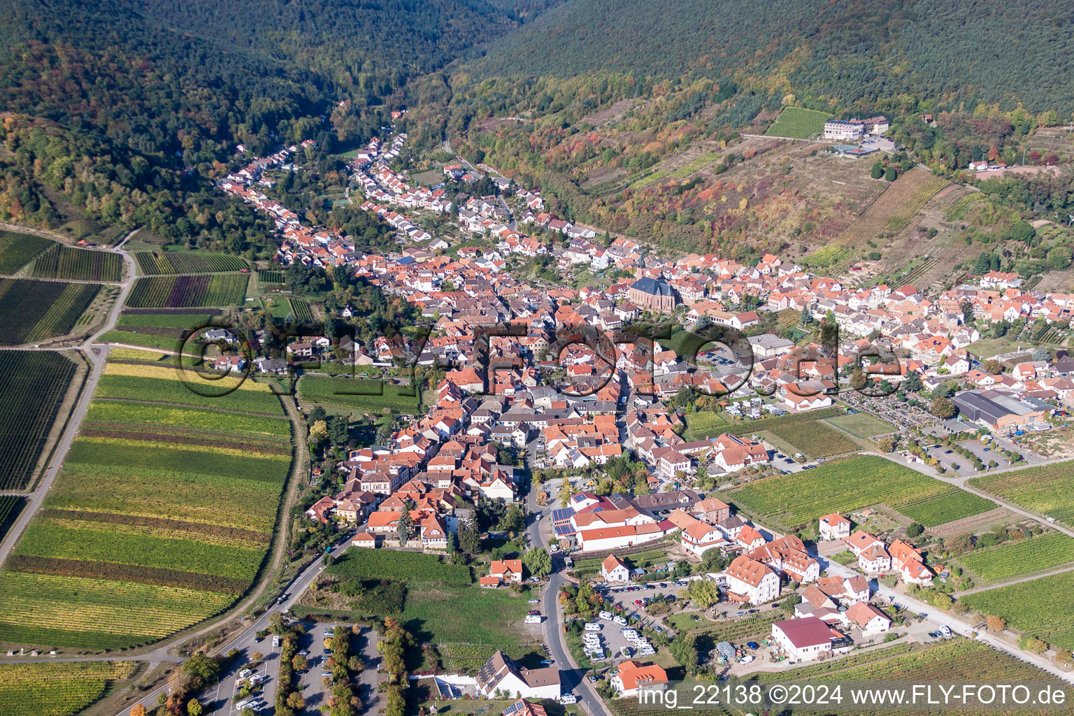 Vue aérienne de Village - vue à la lisière du Haardt de la forêt du Palatinat entre vignes à le quartier SaintMartin in Sankt Martin dans le département Rhénanie-Palatinat, Allemagne