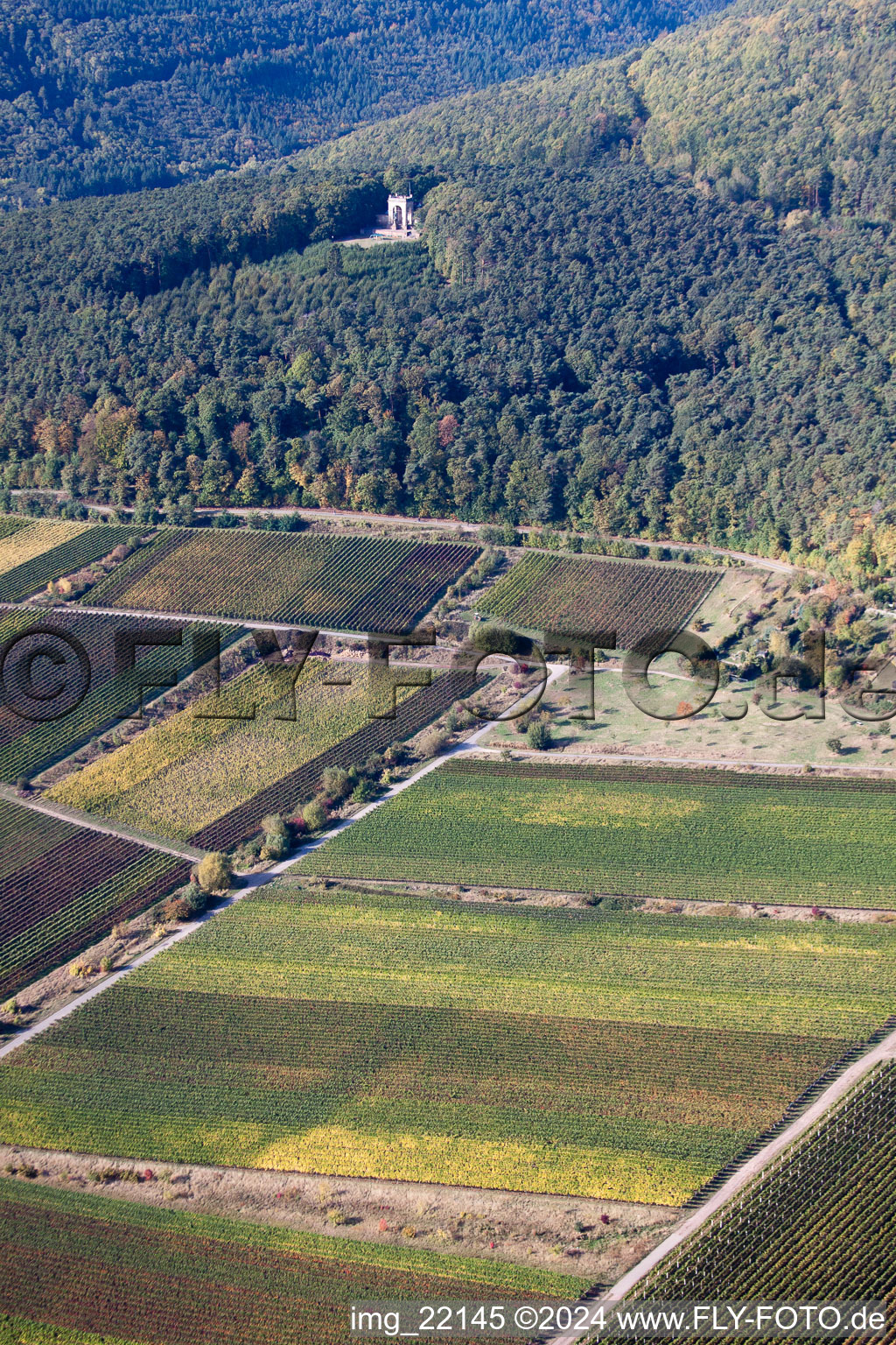 Sankt Martin dans le département Rhénanie-Palatinat, Allemagne depuis l'avion