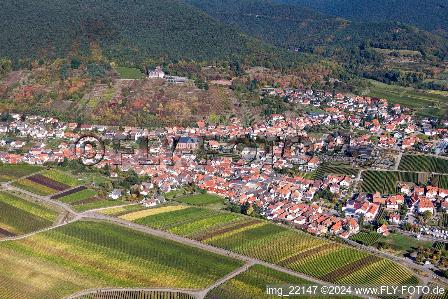 Photographie aérienne de Village - vue à la lisière du Haardt de la forêt du Palatinat entre vignes à le quartier SaintMartin in Sankt Martin dans le département Rhénanie-Palatinat, Allemagne