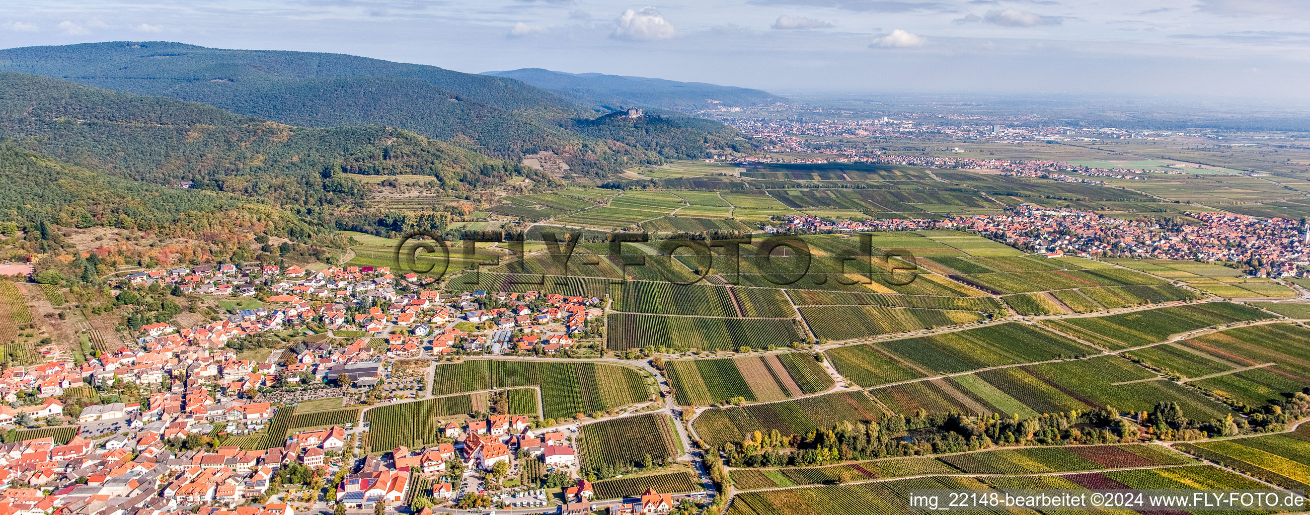 Vue aérienne de Vue sur la plaine du Rhin, à la lisière du Haardt de la forêt du Palatinat, entre vignes à Sankt Martin dans le département Rhénanie-Palatinat, Allemagne