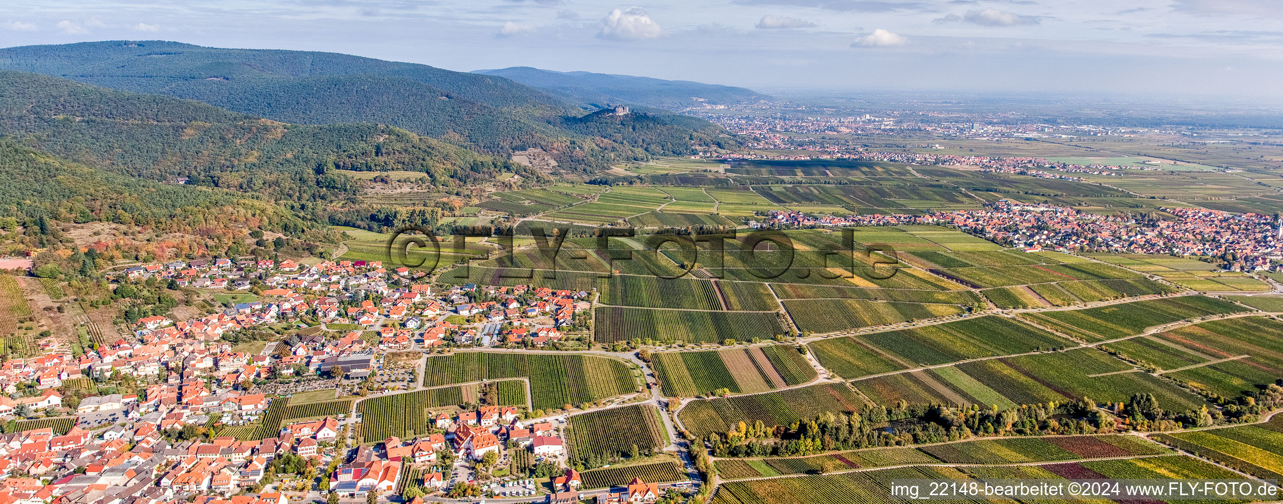 Vue aérienne de Vue sur la plaine du Rhin, à la lisière du Haardt de la forêt du Palatinat, entre vignes à le quartier SaintMartin in Sankt Martin dans le département Rhénanie-Palatinat, Allemagne