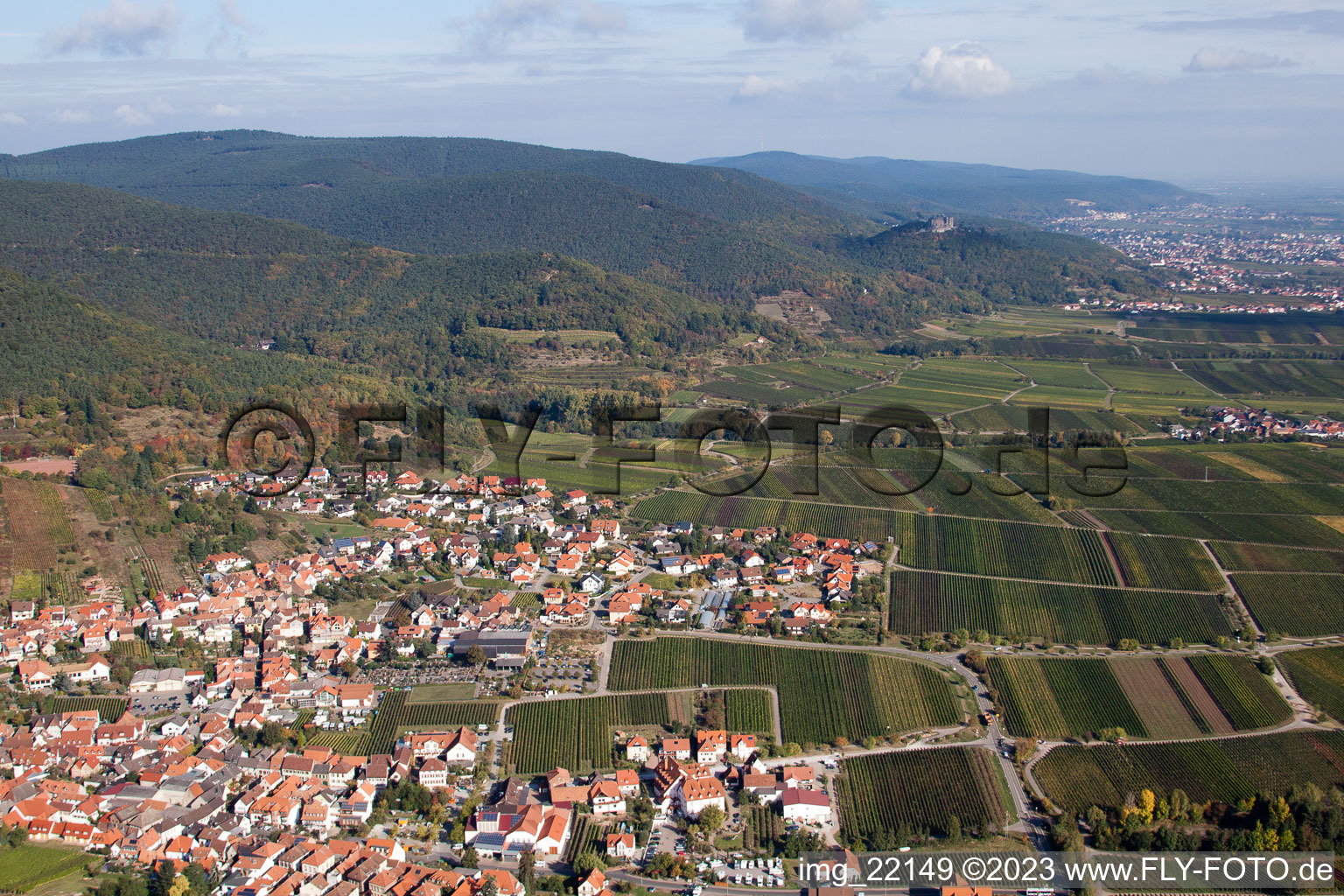 Sankt Martin dans le département Rhénanie-Palatinat, Allemagne vue du ciel