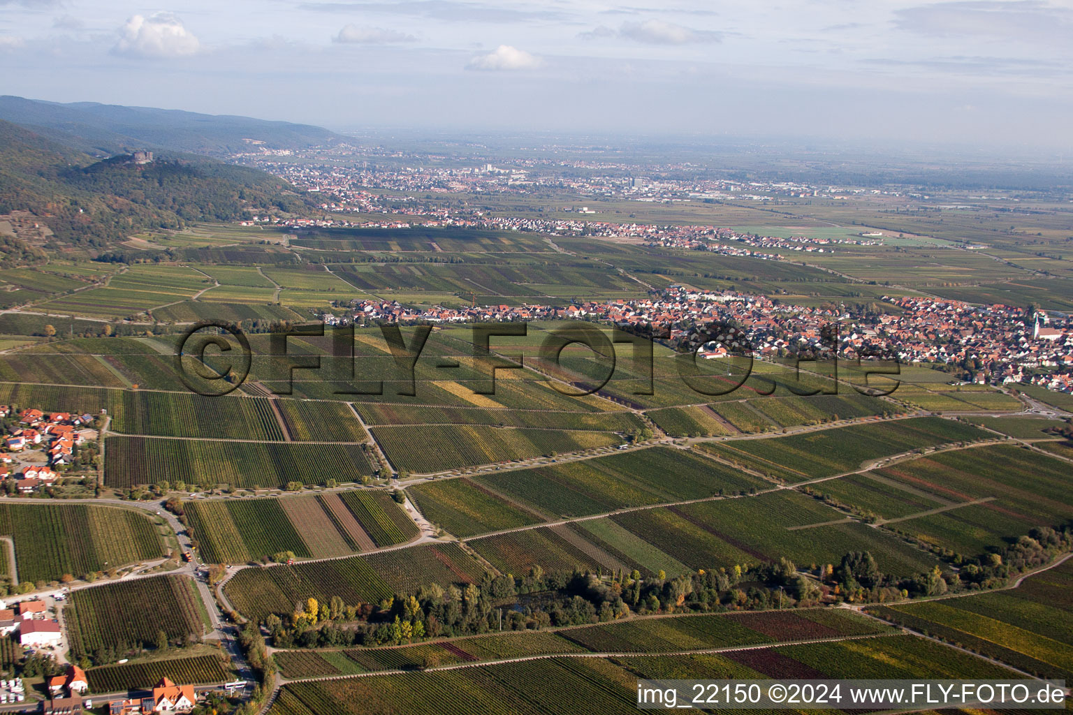 Sankt Martin dans le département Rhénanie-Palatinat, Allemagne vue d'en haut