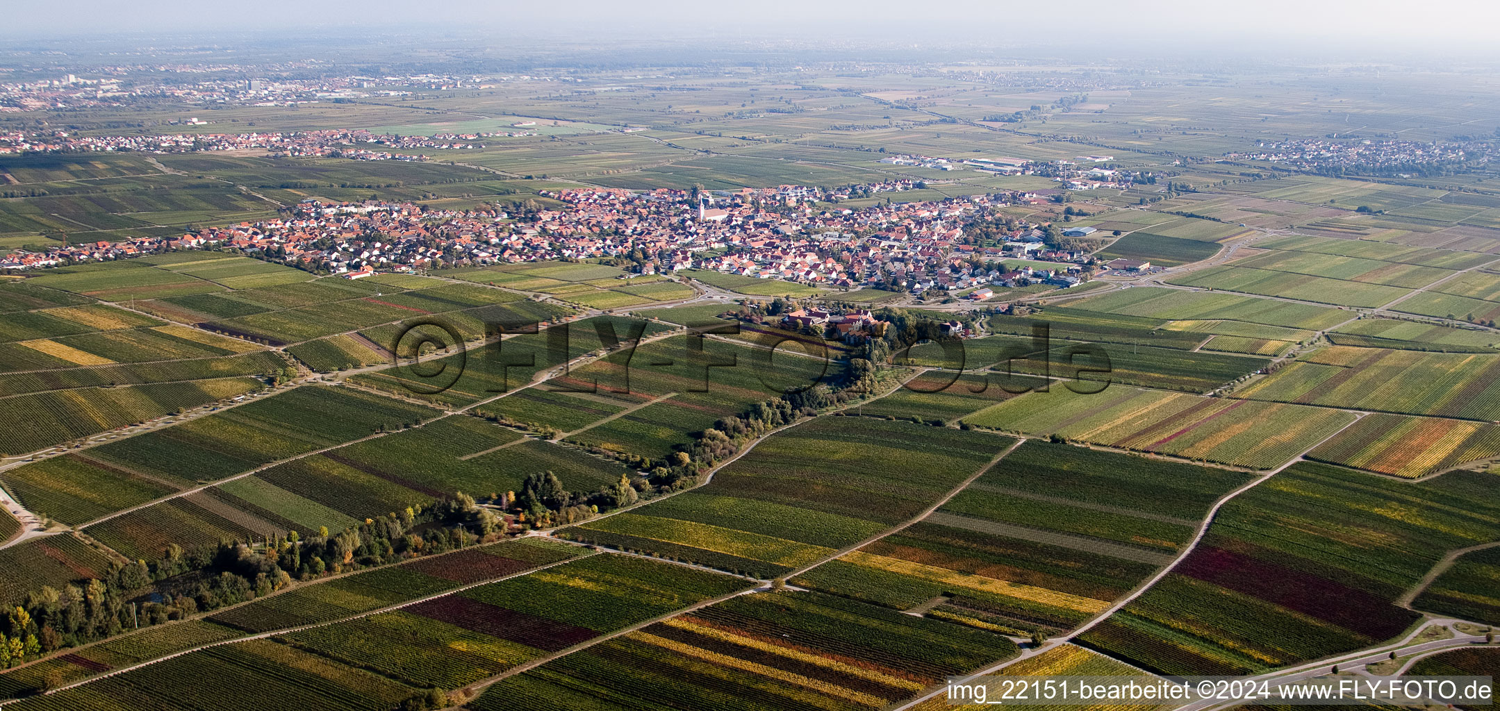 Sankt Martin dans le département Rhénanie-Palatinat, Allemagne depuis l'avion