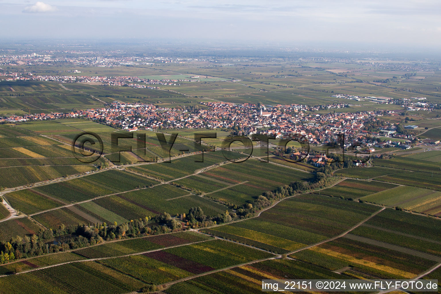 Vue d'oiseau de Sankt Martin dans le département Rhénanie-Palatinat, Allemagne