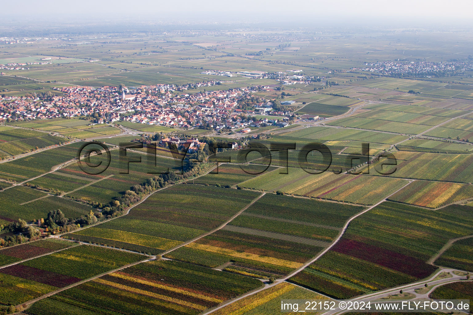 Sankt Martin dans le département Rhénanie-Palatinat, Allemagne vue du ciel