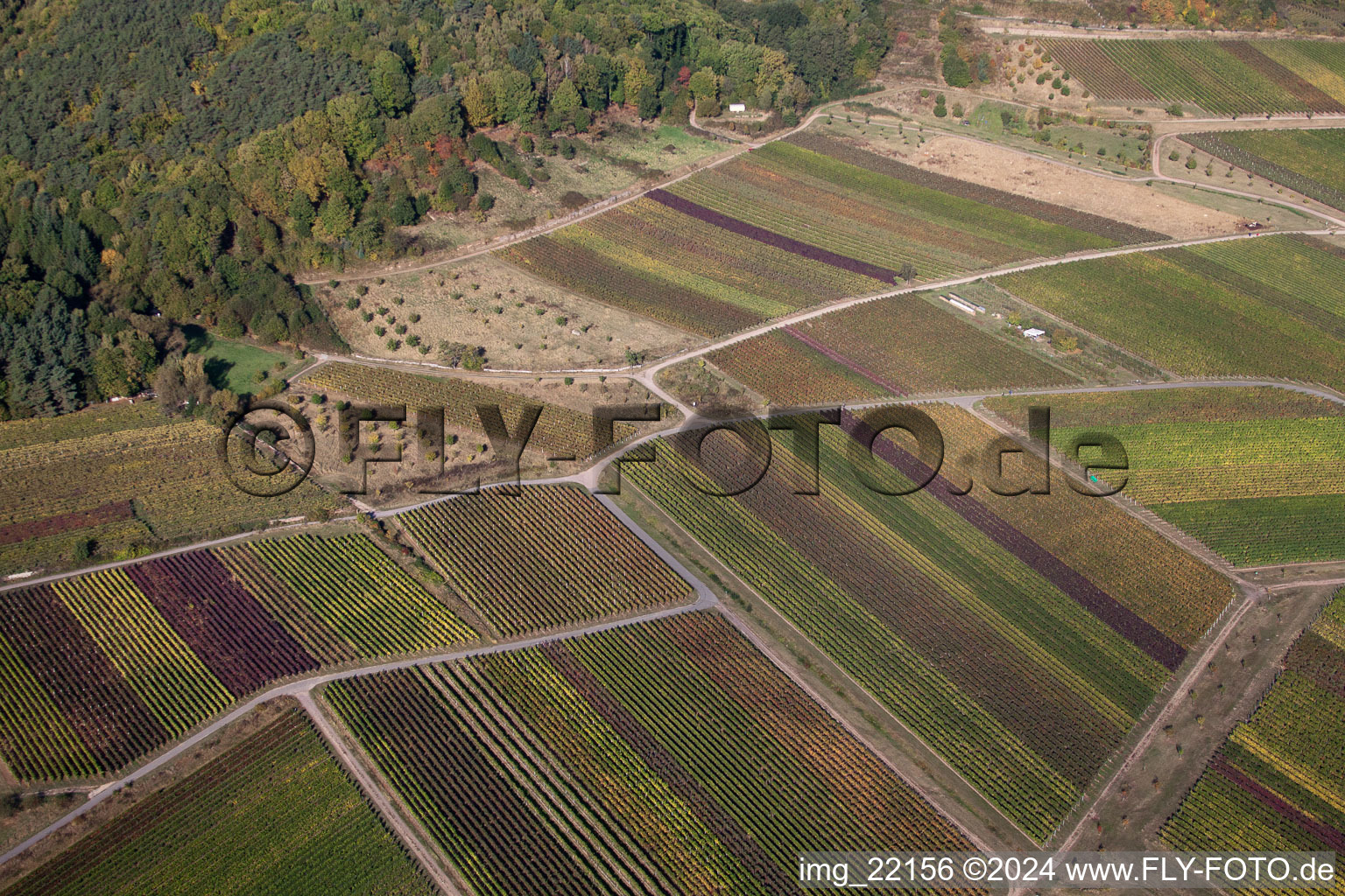 Image drone de Sankt Martin dans le département Rhénanie-Palatinat, Allemagne