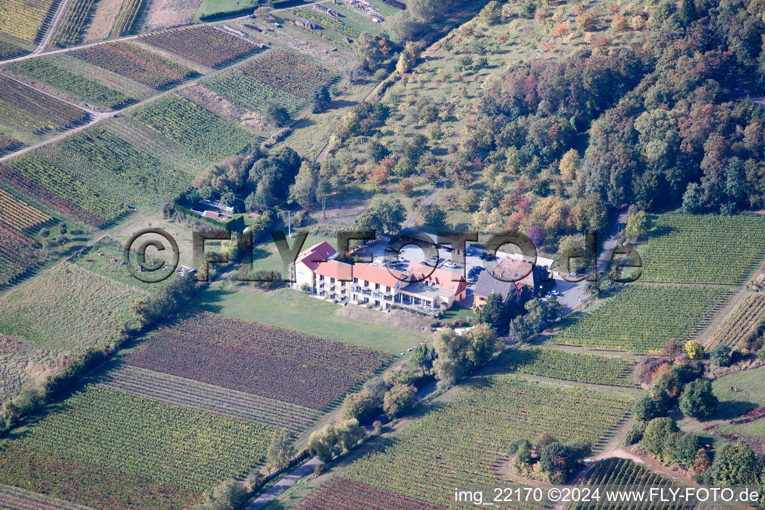 Vue aérienne de Rhodt unter Rietburg dans le département Rhénanie-Palatinat, Allemagne