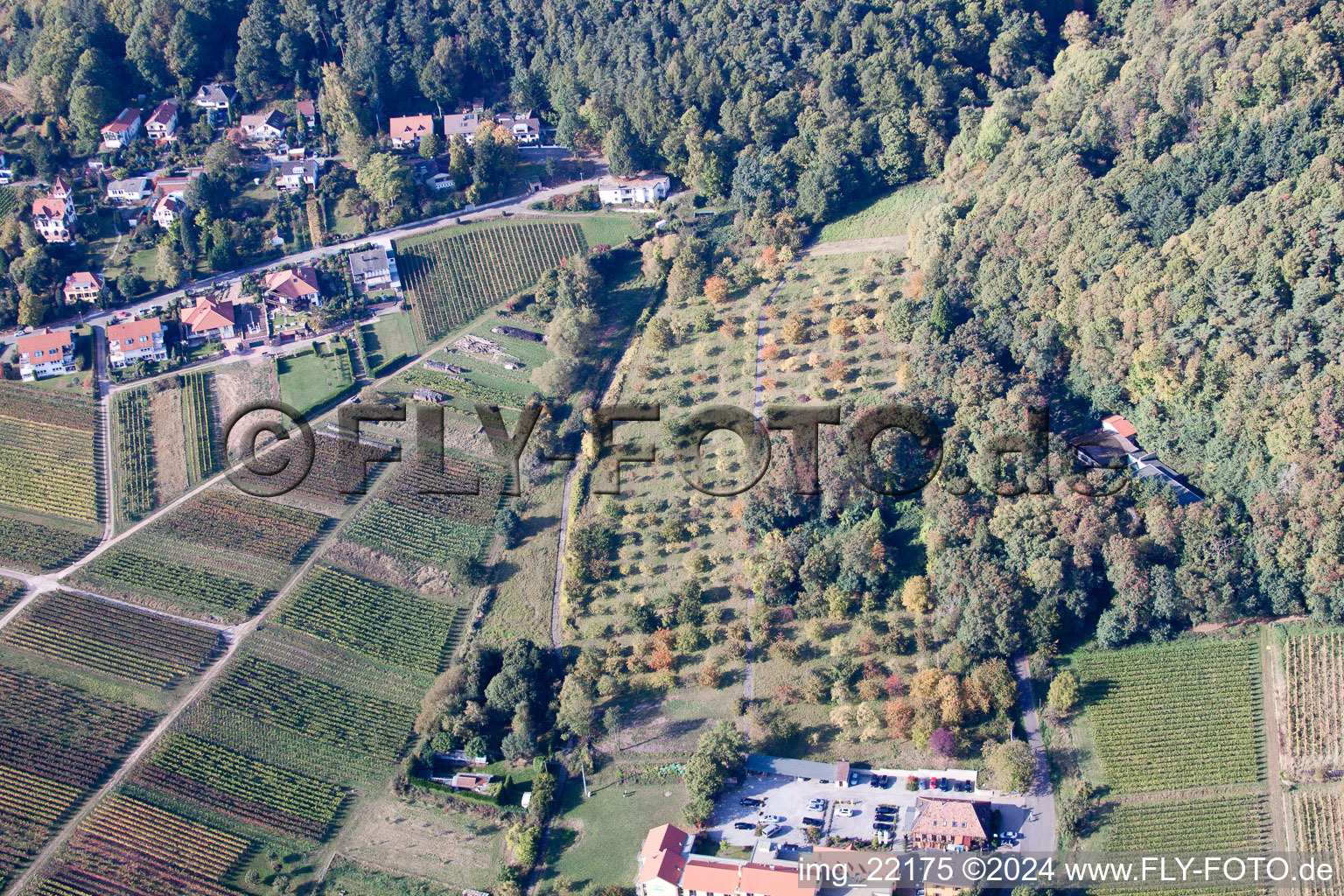 Vue aérienne de Ancienne école de la vigne à le quartier Rhodt in Rhodt unter Rietburg dans le département Rhénanie-Palatinat, Allemagne