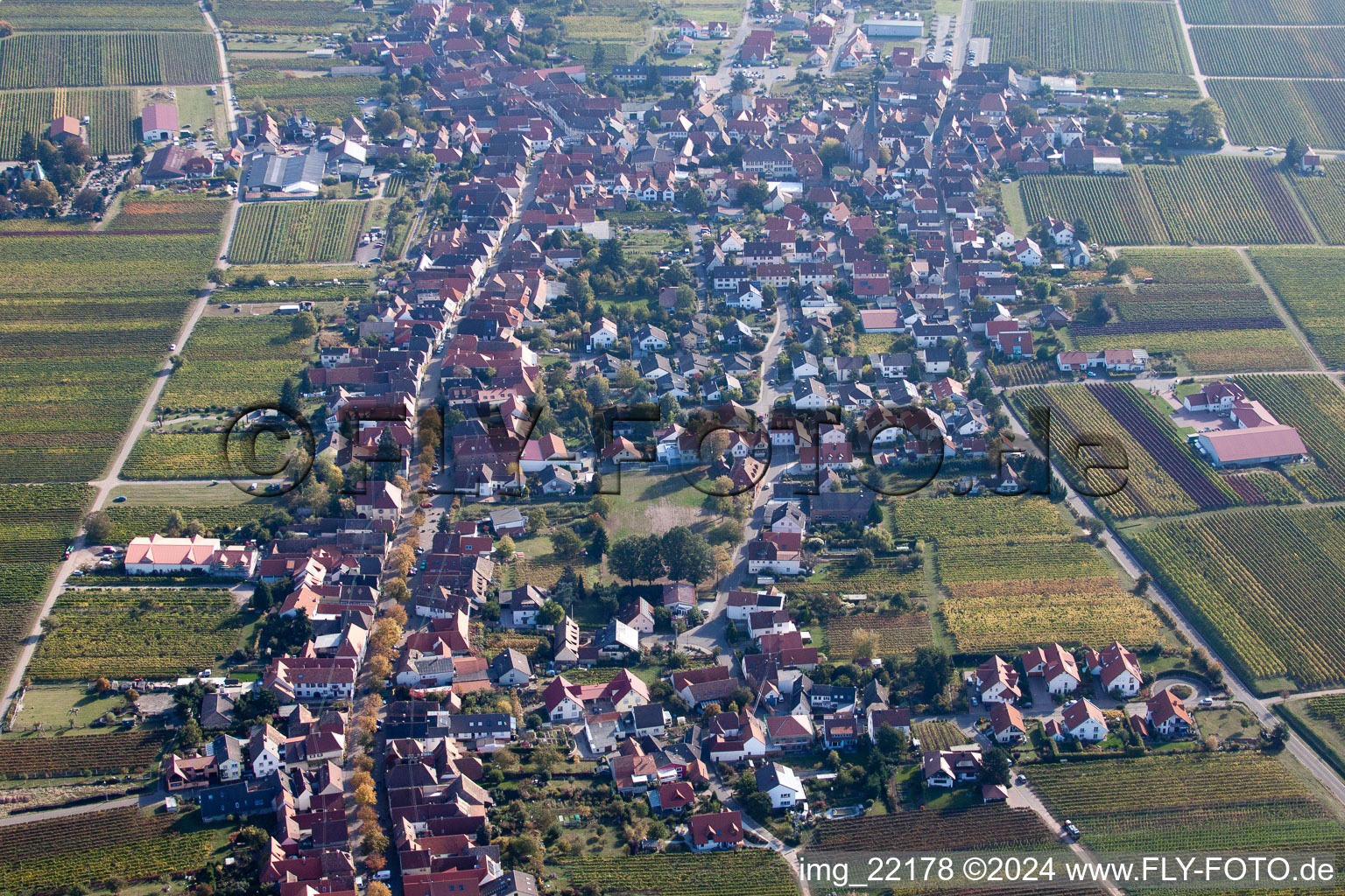 Photographie aérienne de Rhodt unter Rietburg dans le département Rhénanie-Palatinat, Allemagne