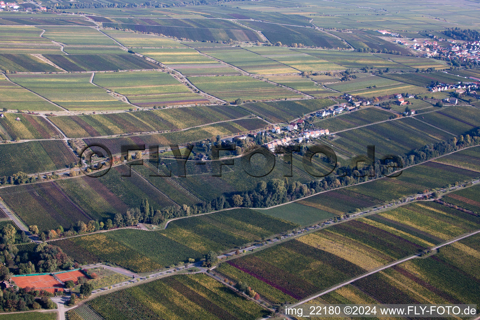 Edenkoben dans le département Rhénanie-Palatinat, Allemagne vue du ciel