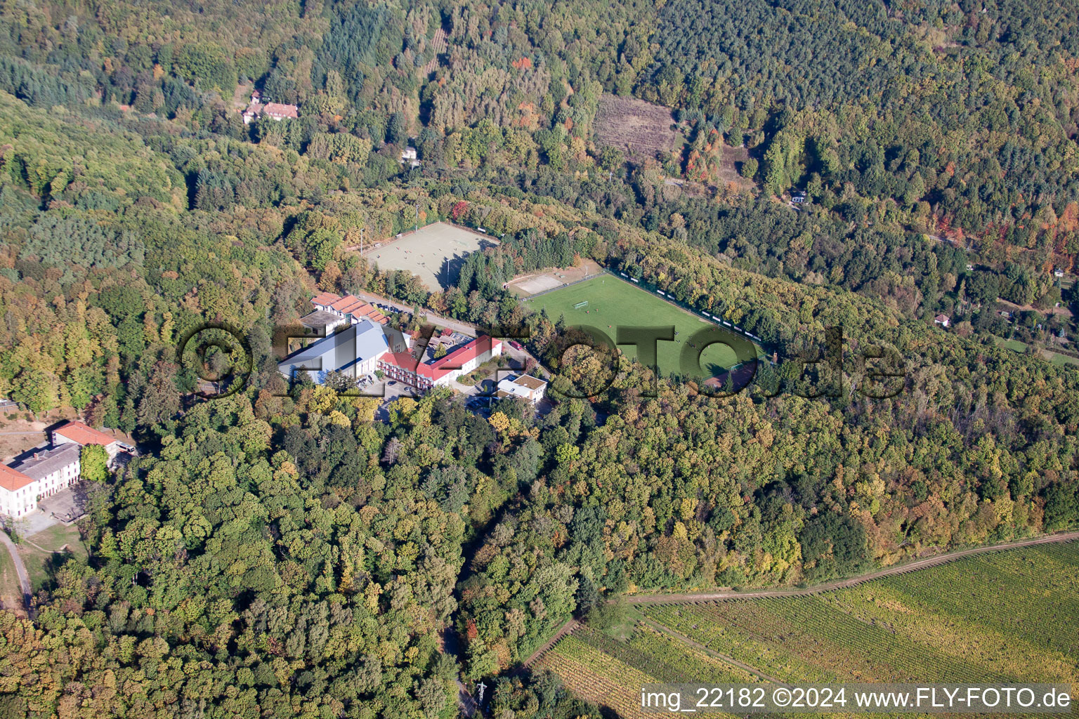 Enregistrement par drone de Weyher in der Pfalz dans le département Rhénanie-Palatinat, Allemagne