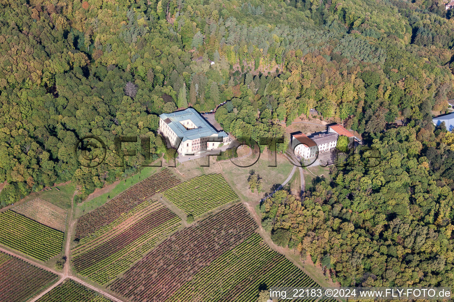 Photographie aérienne de Château de la Villa Ludwigshöhe à Edenkoben dans le département Rhénanie-Palatinat, Allemagne