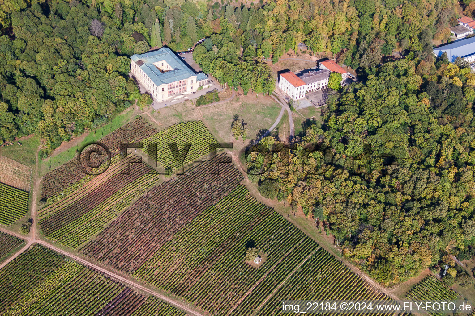 Vue d'oiseau de Château de la Villa Ludwigshöhe à Edenkoben dans le département Rhénanie-Palatinat, Allemagne