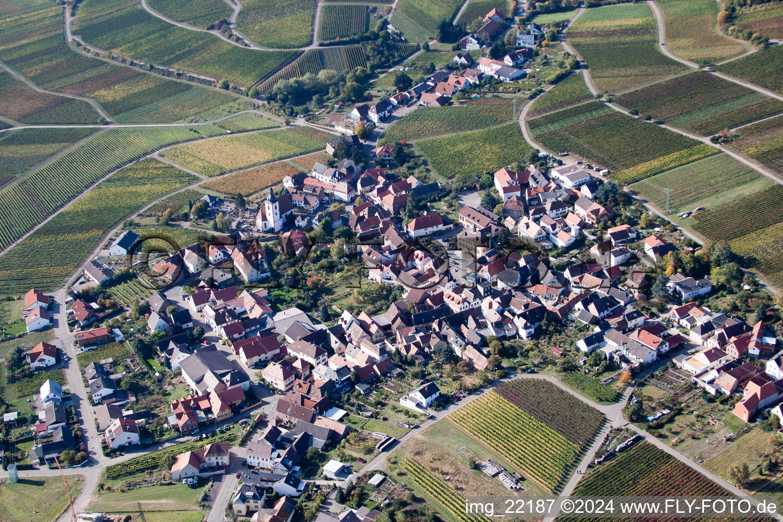 Weyher in der Pfalz dans le département Rhénanie-Palatinat, Allemagne du point de vue du drone