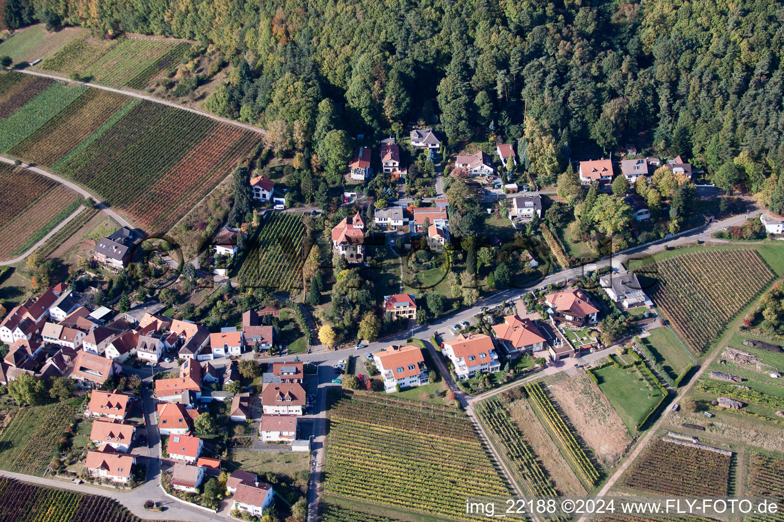 Weyher in der Pfalz dans le département Rhénanie-Palatinat, Allemagne d'un drone