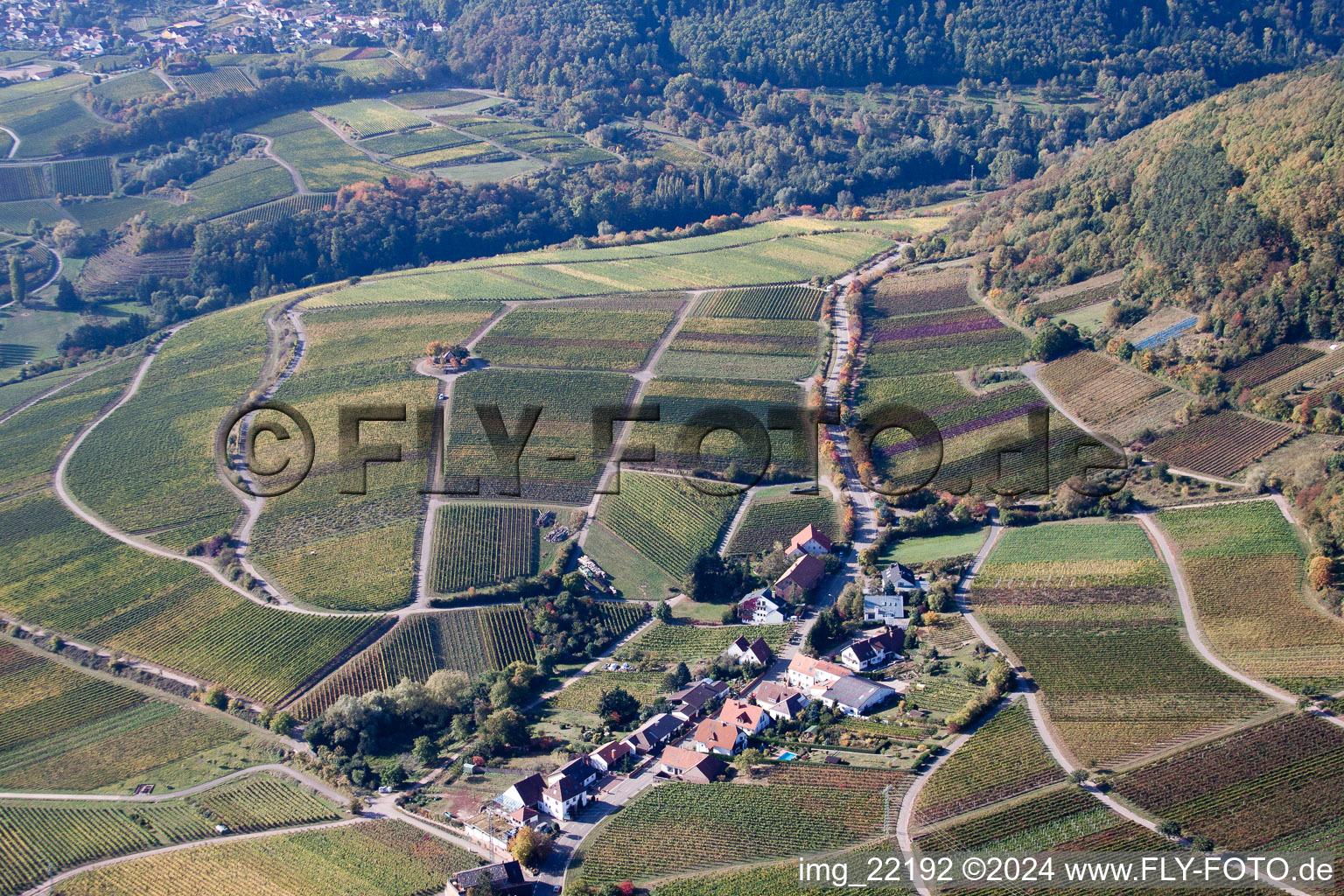 Photographie aérienne de Weyher in der Pfalz dans le département Rhénanie-Palatinat, Allemagne