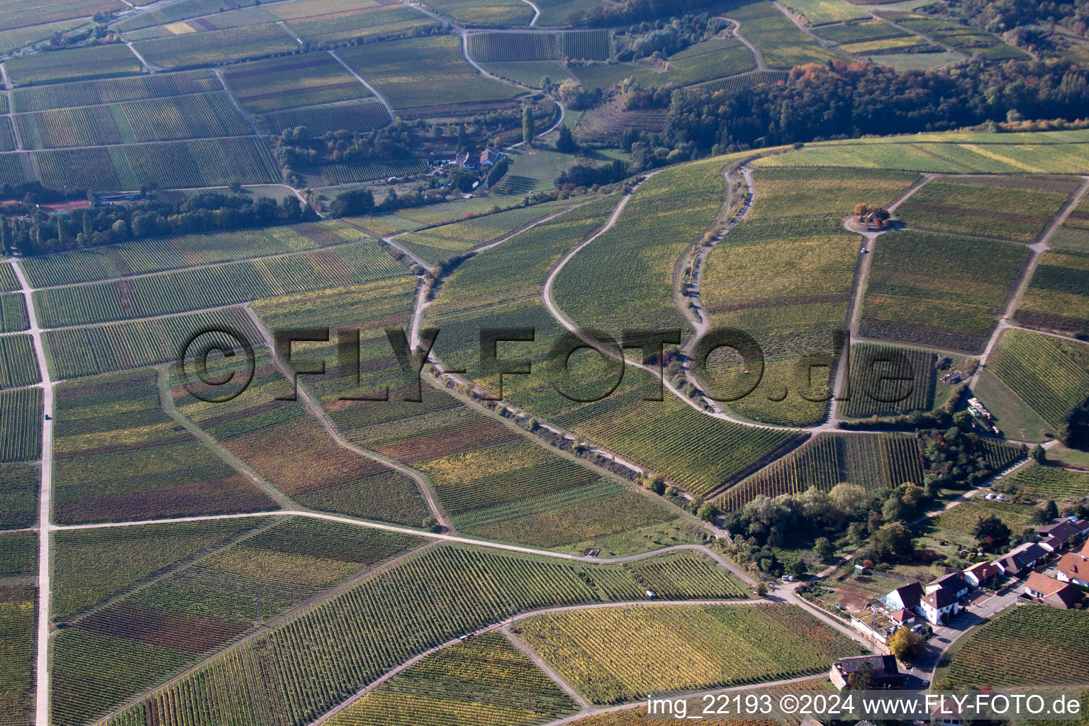 Vue oblique de Weyher in der Pfalz dans le département Rhénanie-Palatinat, Allemagne