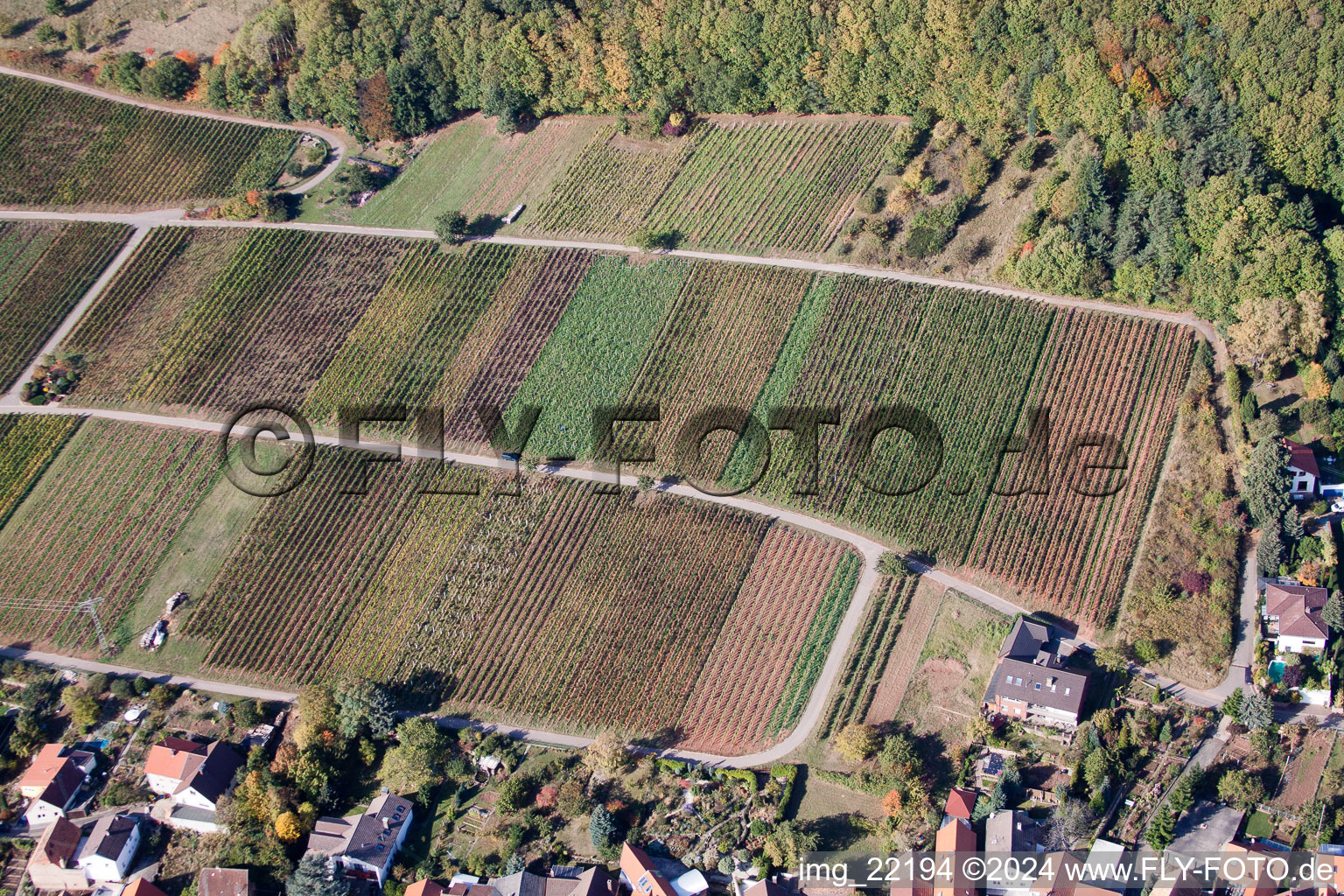 Weyher in der Pfalz dans le département Rhénanie-Palatinat, Allemagne d'en haut