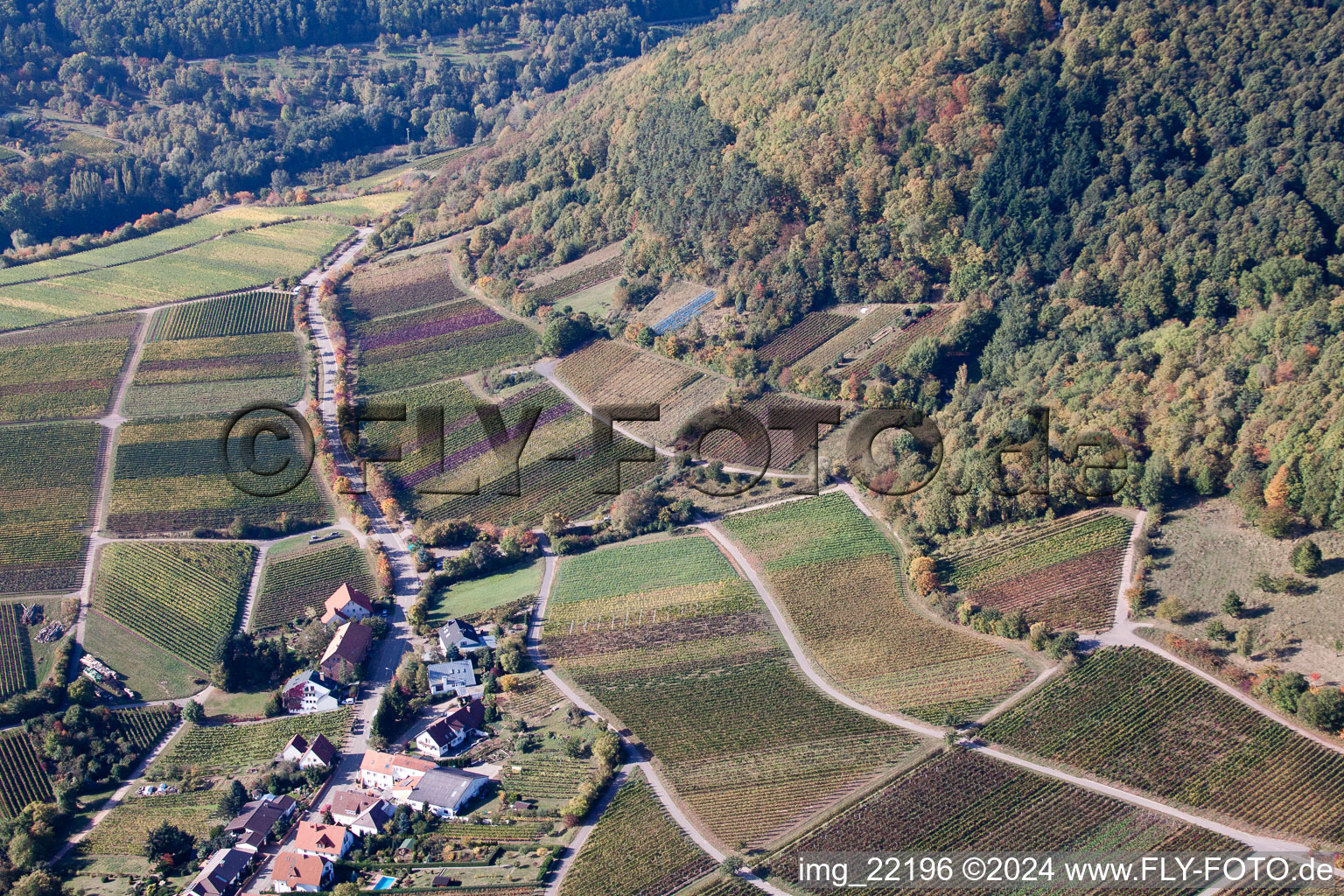 Weyher in der Pfalz dans le département Rhénanie-Palatinat, Allemagne vue d'en haut