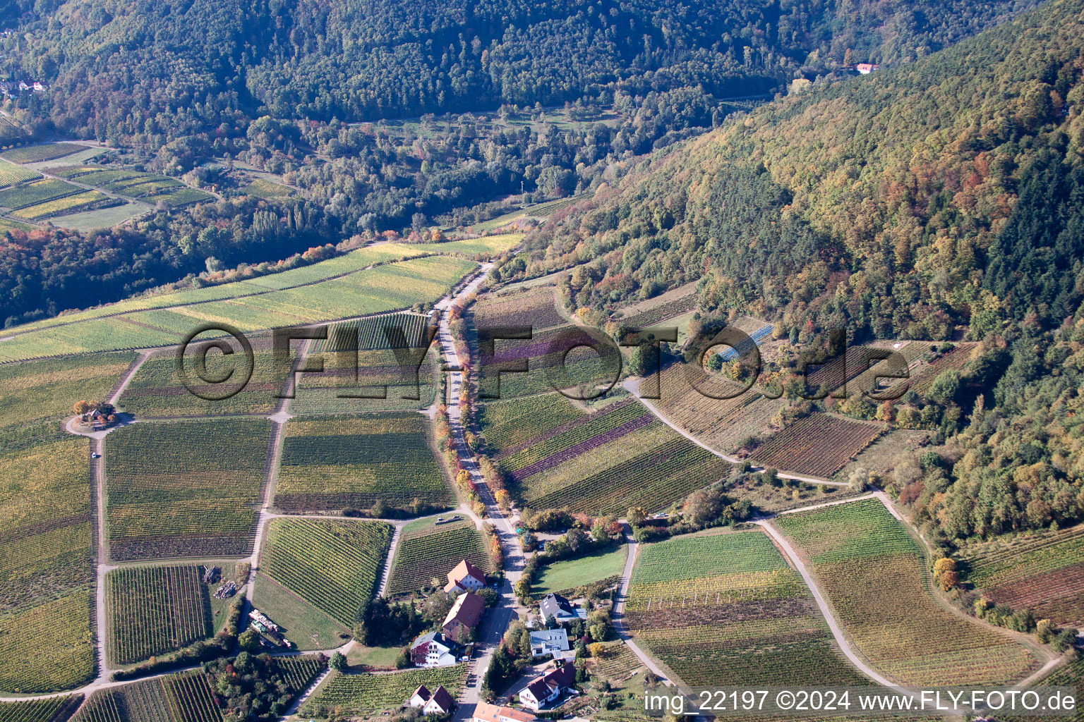 Weyher in der Pfalz dans le département Rhénanie-Palatinat, Allemagne depuis l'avion