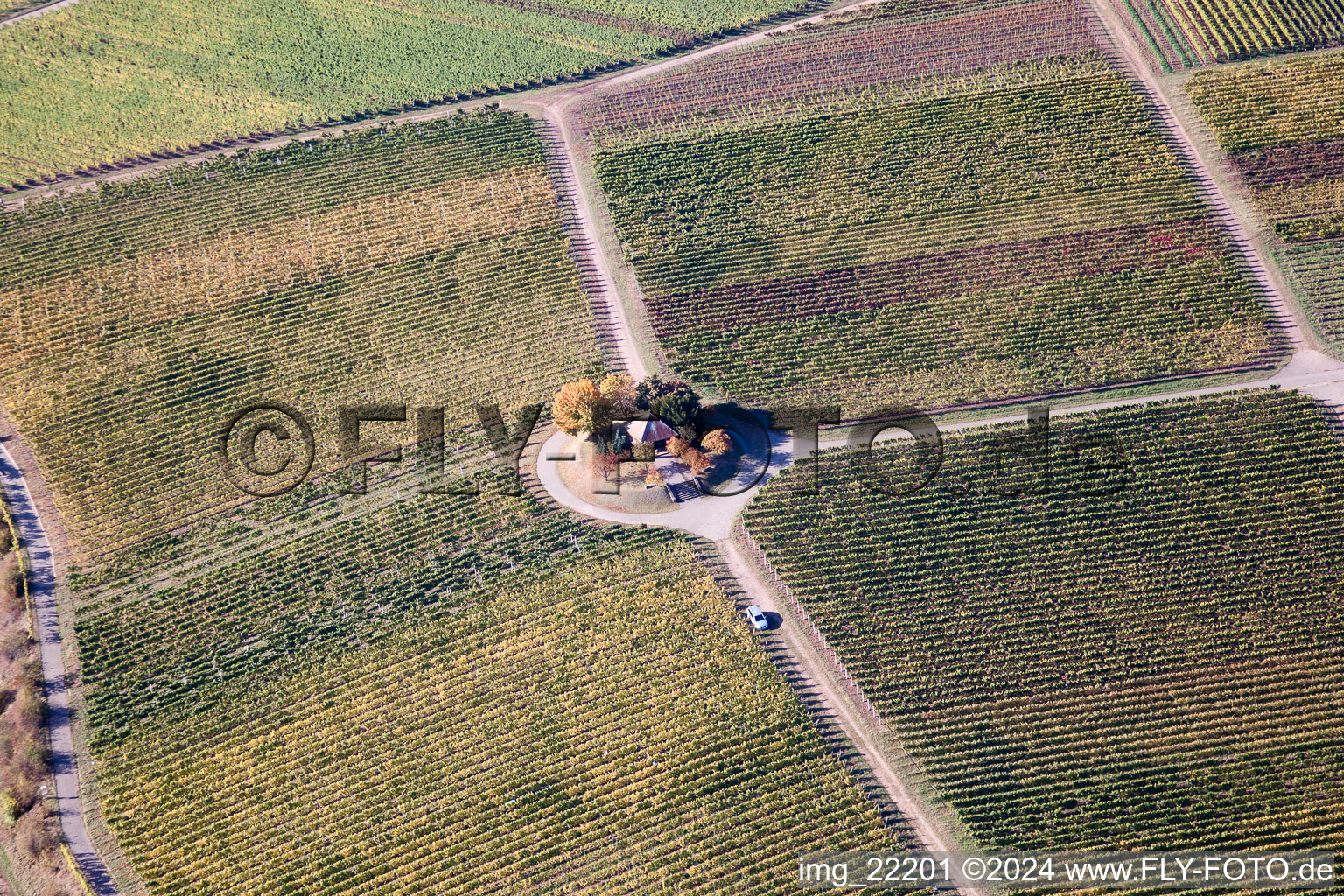 Weyher in der Pfalz dans le département Rhénanie-Palatinat, Allemagne vue du ciel