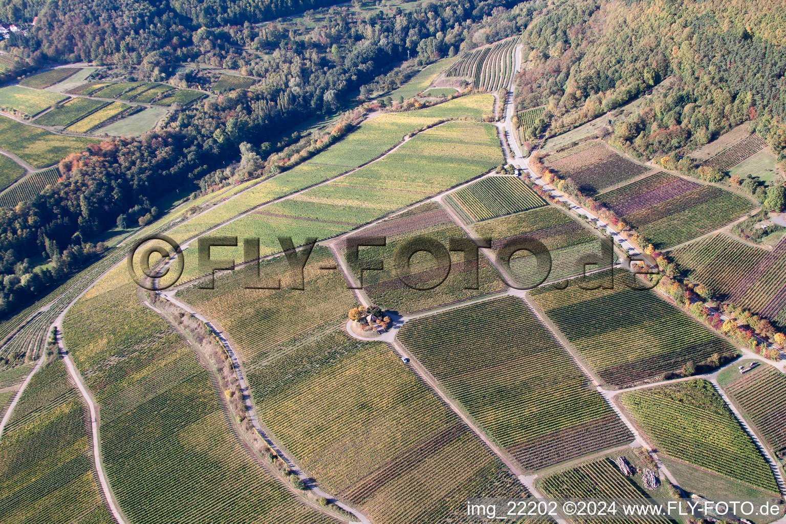 Enregistrement par drone de Weyher in der Pfalz dans le département Rhénanie-Palatinat, Allemagne