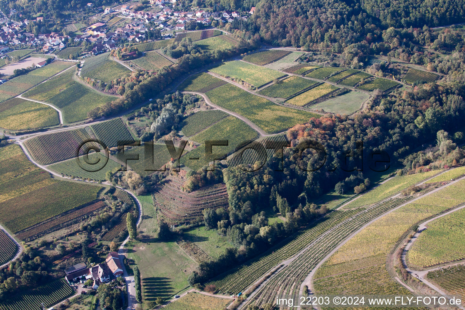 Image drone de Weyher in der Pfalz dans le département Rhénanie-Palatinat, Allemagne